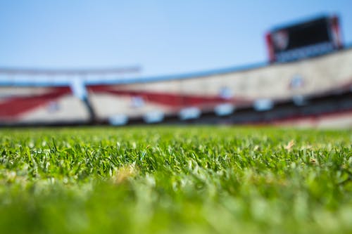 Is Synthetic Grass Worth It? Know Why It’s a Wise Idea to Install It on Your Home
